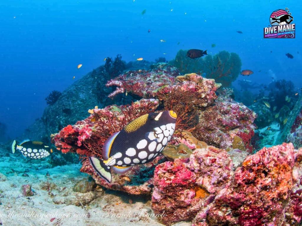 Khaolak Dive Resort Khao Lak Dış mekan fotoğraf