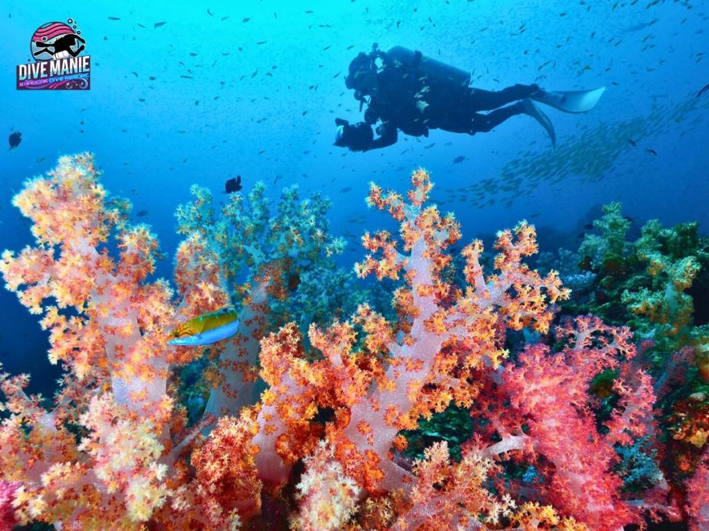 Khaolak Dive Resort Khao Lak Dış mekan fotoğraf