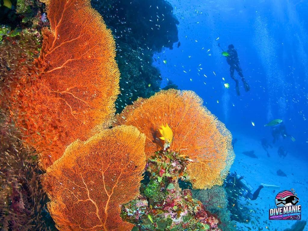 Khaolak Dive Resort Khao Lak Dış mekan fotoğraf