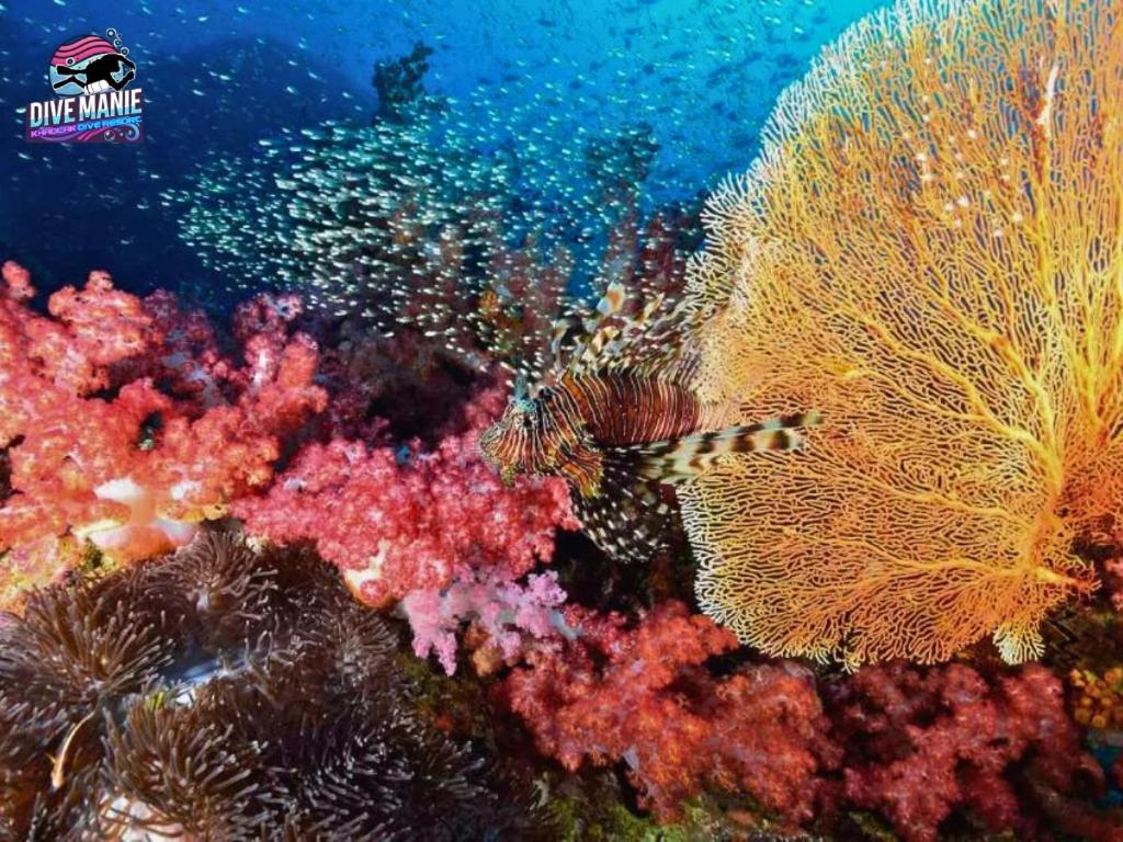 Khaolak Dive Resort Khao Lak Dış mekan fotoğraf